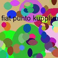 fiat punto kupplung